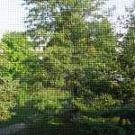 RIMG0978.JPG