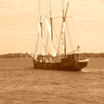 RIMG0427.JPG