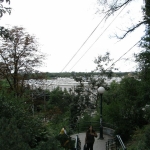 RIMG0778.JPG
