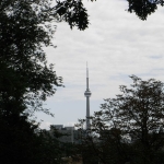 RIMG0781.JPG
