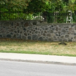 RIMG0784.JPG