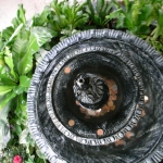RIMG0818.JPG