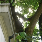 RIMG0850.JPG